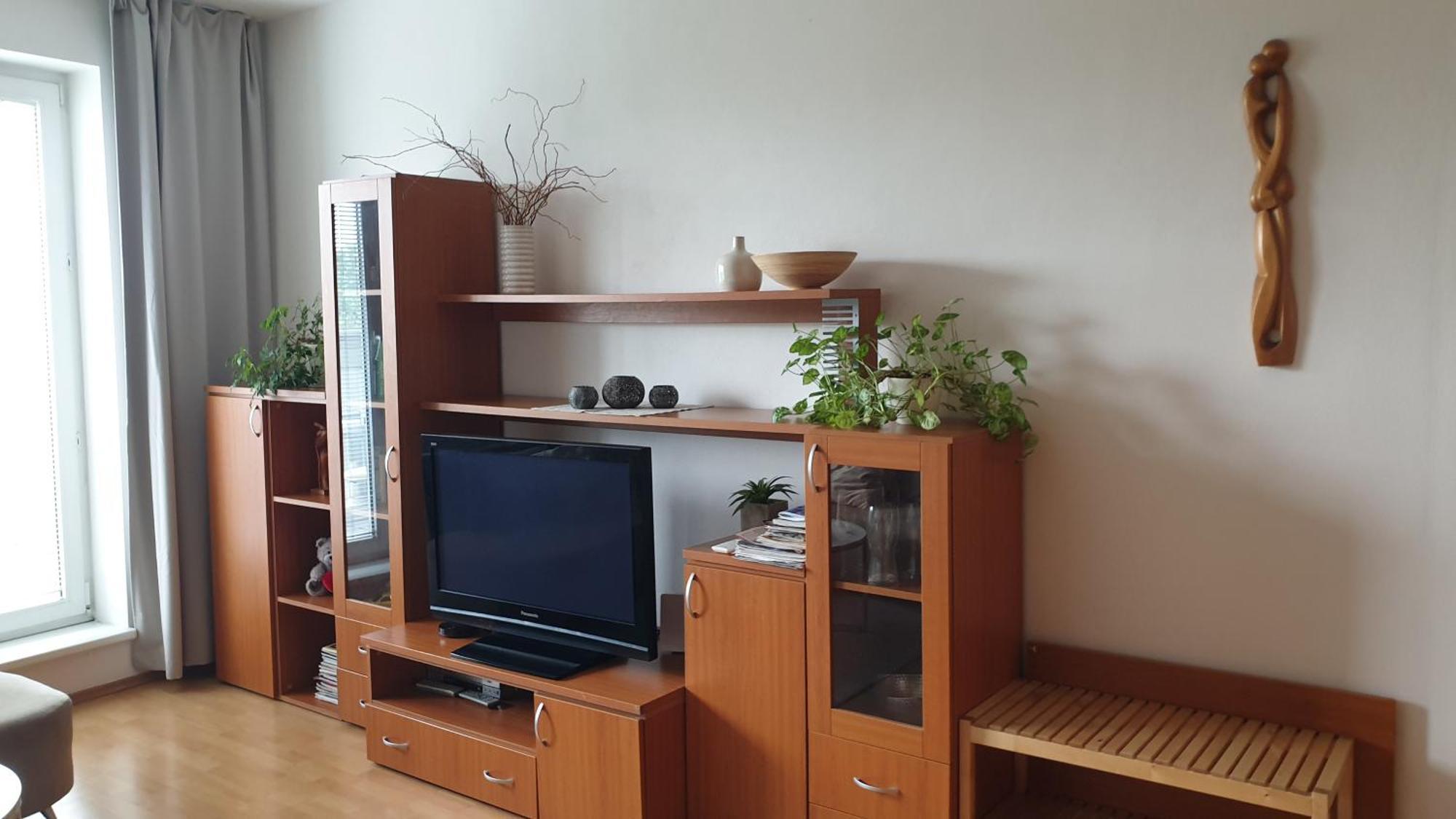 Cozy Apartment Btw Centre And Airport - Private Host - No Invoice Братислава Экстерьер фото